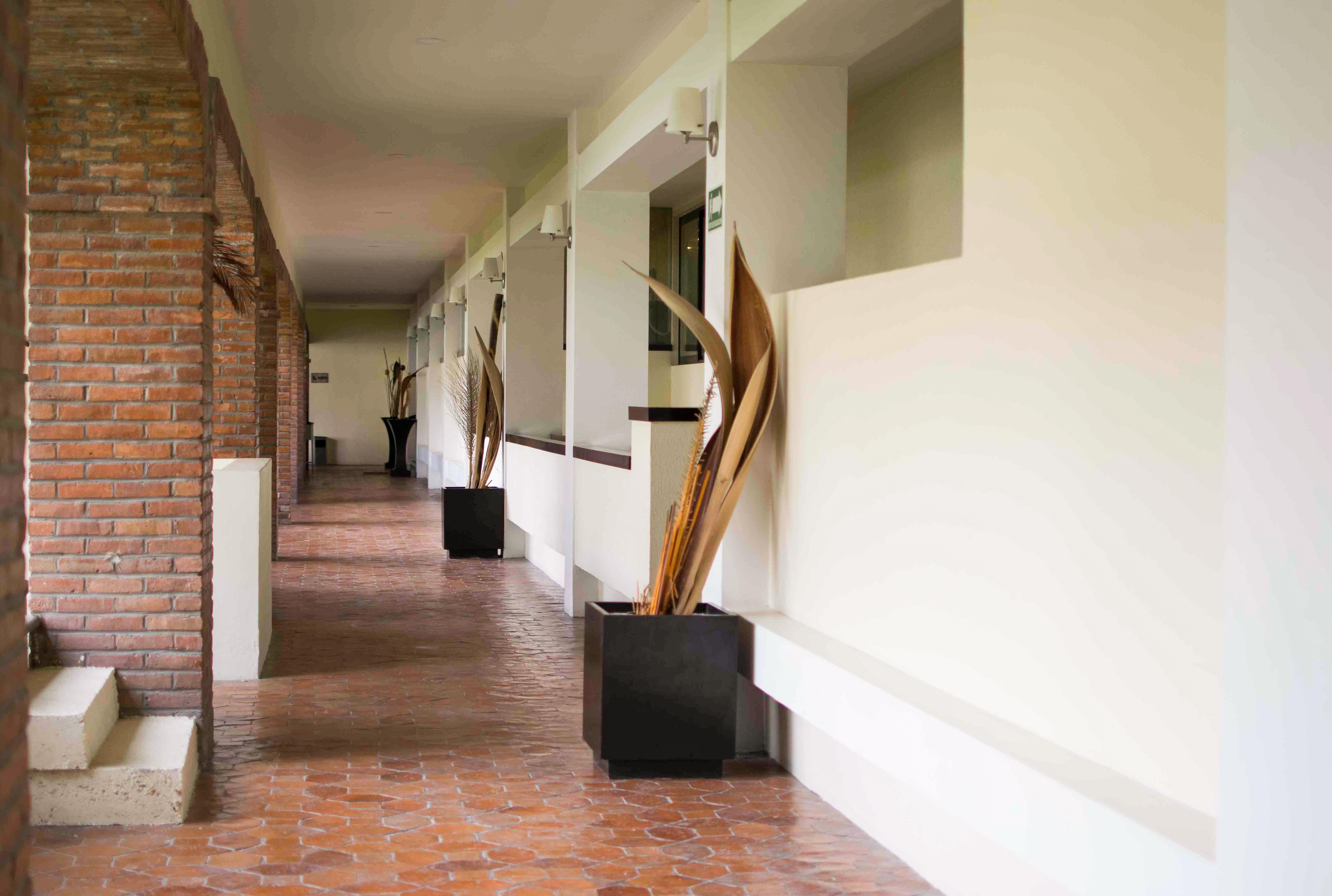 Wyndham Garden Aguascalientes Hotel & Casino Εξωτερικό φωτογραφία